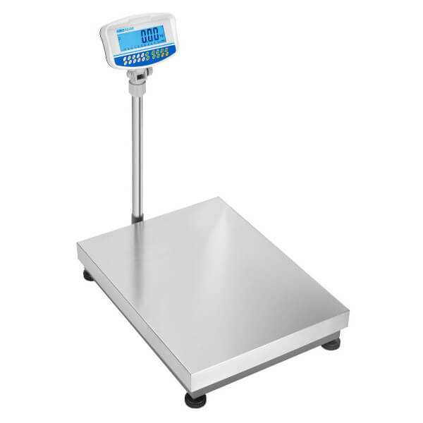 Floor Weighing Scale - Image 2
