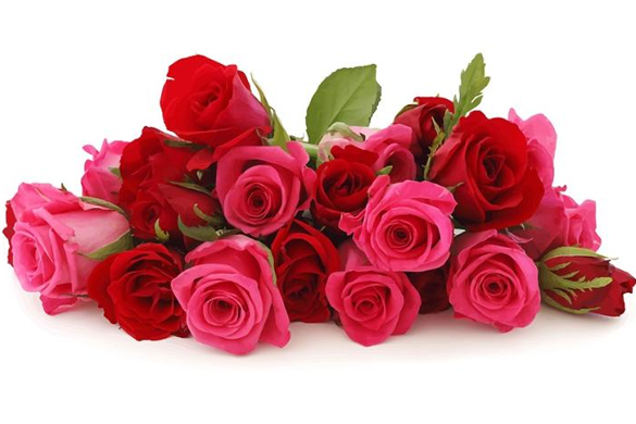 Rose blend essential oil 10ml